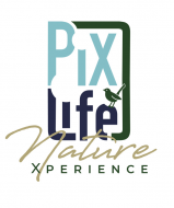 PiXlife Nature Xperience logo